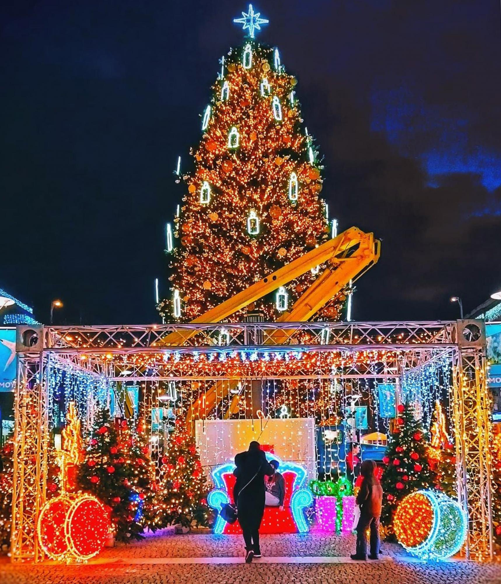 Вертепи, ярмарки та гори. Найкращі локації для мандрівки по Україні на католицьке Різдво